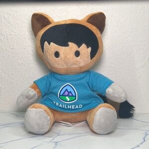 Salesforce Trailhead Raccoon Boy Plush Stuffed Animal